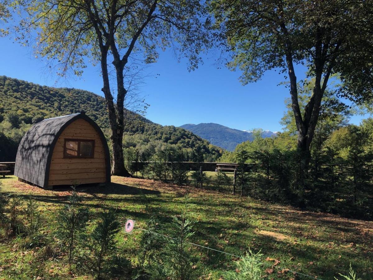 Pyrenees Emotions, Eco-Responsables, Nature, Sports Aventures Malvezie Экстерьер фото