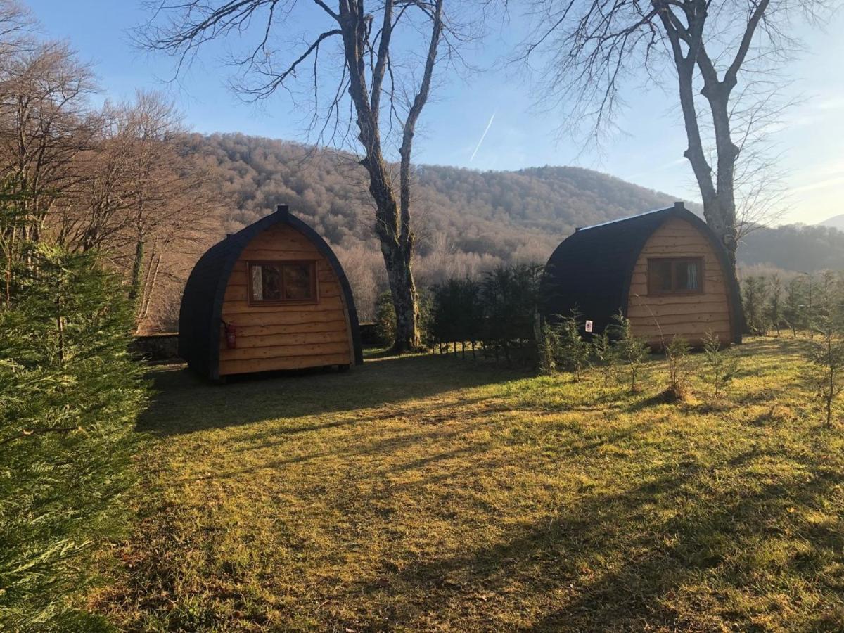 Pyrenees Emotions, Eco-Responsables, Nature, Sports Aventures Malvezie Экстерьер фото