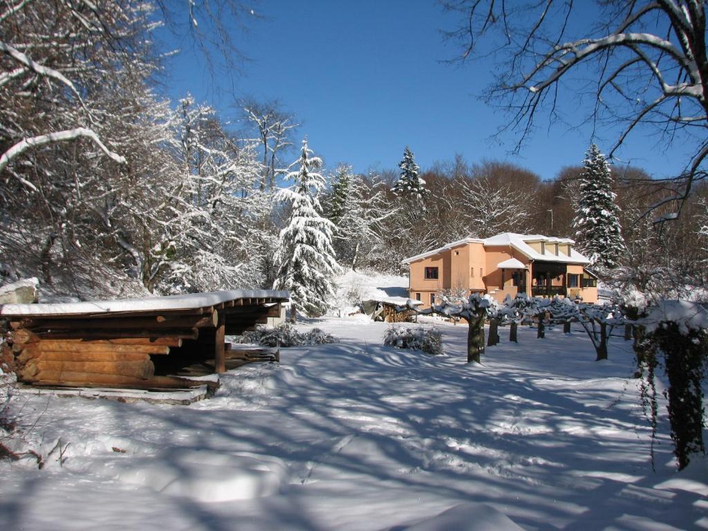 Pyrenees Emotions, Eco-Responsables, Nature, Sports Aventures Malvezie Экстерьер фото